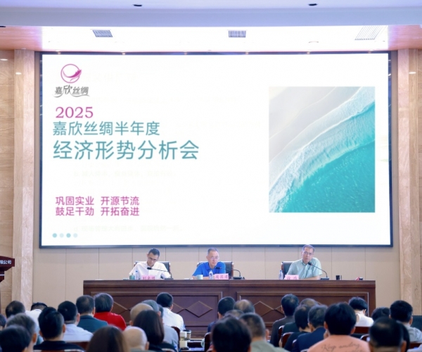 w66集团丝绸2025半年度经济局势分析会顺利召开